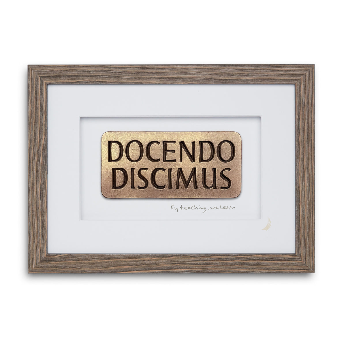 Docendo discimus – By teaching we learn